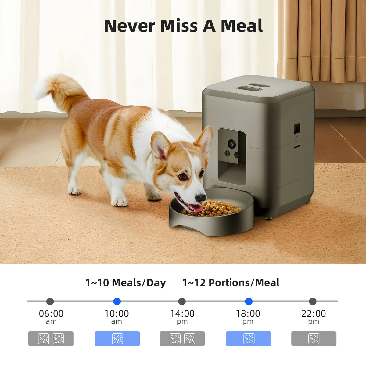 2L Automatic Pet Feeder