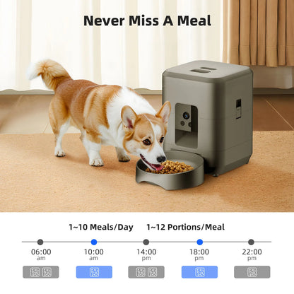 2L Automatic Pet Feeder